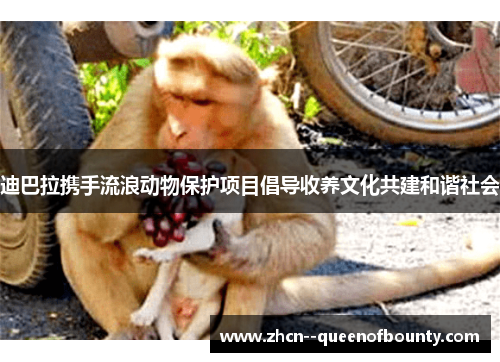 迪巴拉携手流浪动物保护项目倡导收养文化共建和谐社会