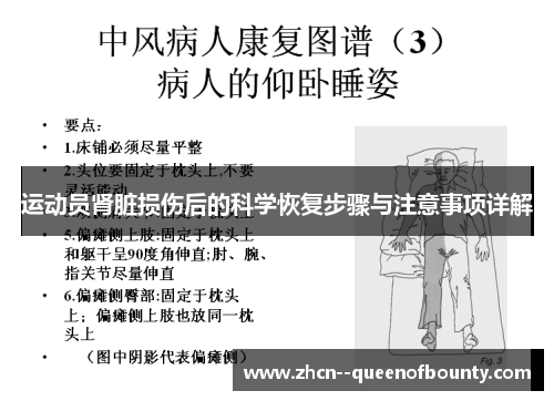 运动员肾脏损伤后的科学恢复步骤与注意事项详解